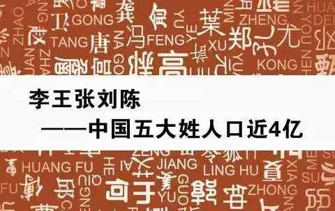 人口普查 第六次全國(guó)人口普查：公布人口最多的前300名姓氏