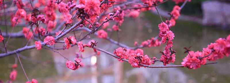 溧陽(yáng)曹山要門(mén)票嗎