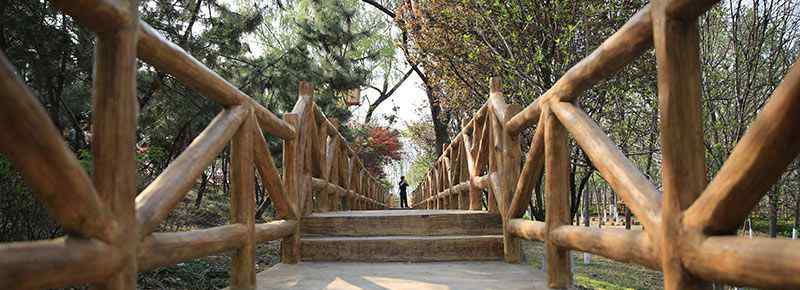 嘉庚公園要門票嗎