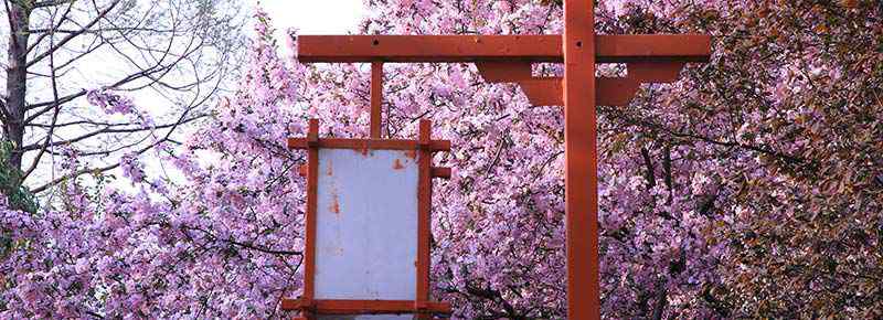 繡球公園要門票嗎