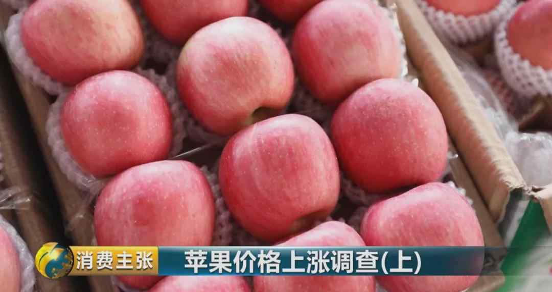 陜西冷庫蘋果價格 從每斤4元到19.9元，蘋果價格為何一路上漲？