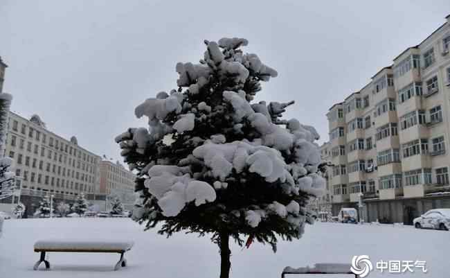 內(nèi)蒙古呼倫貝爾四月飄雪 對(duì)此大家怎么看？