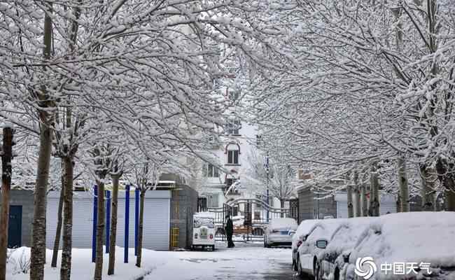 內(nèi)蒙古呼倫貝爾四月飄雪 目前是什么情況？