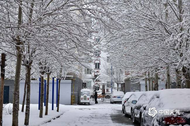 內(nèi)蒙古呼倫貝爾四月飄雪 事情經(jīng)過真相揭秘！