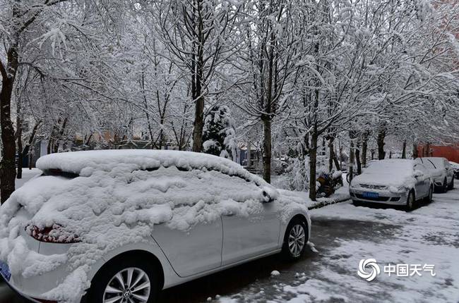 內(nèi)蒙古呼倫貝爾四月飄雪 事情經(jīng)過真相揭秘！