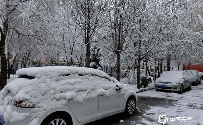 內(nèi)蒙古呼倫貝爾四月飄雪 登上網(wǎng)絡(luò)熱搜了！