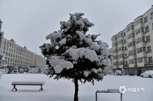 內(nèi)蒙古呼倫貝爾四月飄雪 事情經(jīng)過真相揭秘！