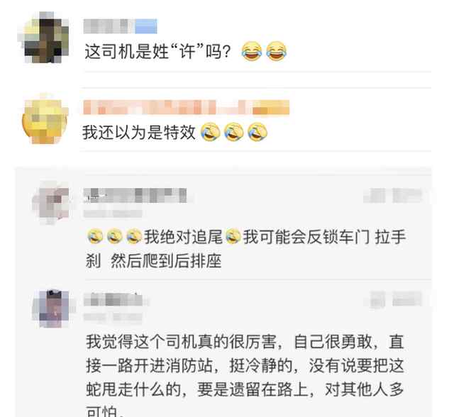 生猛！杭州司機一手抓蛇頭 一手開車進了收費站：等下交錢 我先放個生