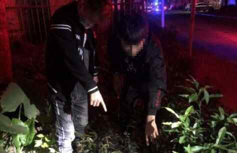 兩男子深夜尾隨女子到偏僻處 突然脫下衣服全程被拍究竟是怎么回事？