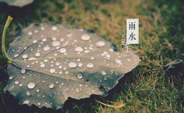 雨水節(jié)氣的含義是什么意思 雨水節(jié)氣的溫度是多少