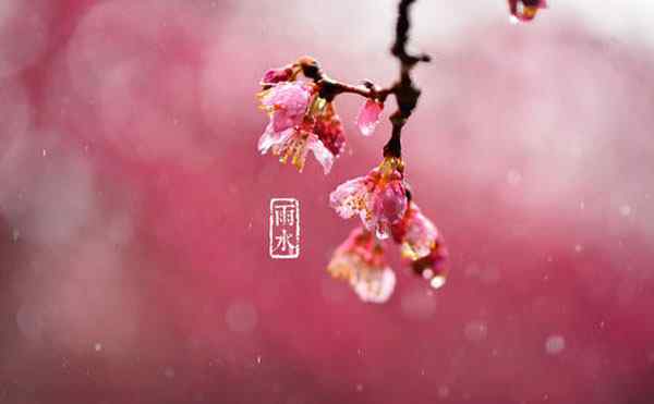 雨水節(jié)氣養(yǎng)生原則 雨水節(jié)氣養(yǎng)生專業(yè)知識(shí)