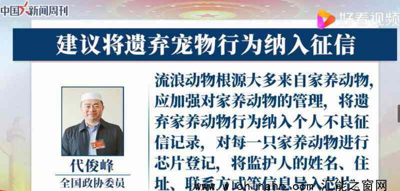 建議遺棄寵物行為納入個(gè)人不良征信記錄  為什么要這樣建議