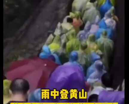 游客風雨中爬黃山崩潰想回家 背后真相曝光實在讓人笑噴