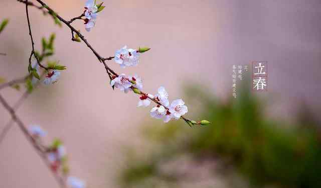 春節(jié)在立春后面有啥說法 立春年前好還是年后好