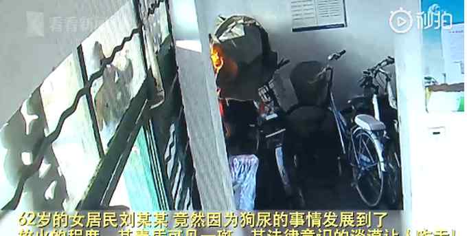 62歲阿姨用別人的自行車套擦狗尿 為掩蓋痕跡竟放火“燒樓”