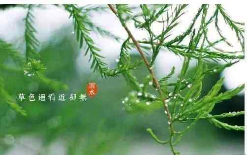 春雨潤如酥 【雨水】春雨潤如酥