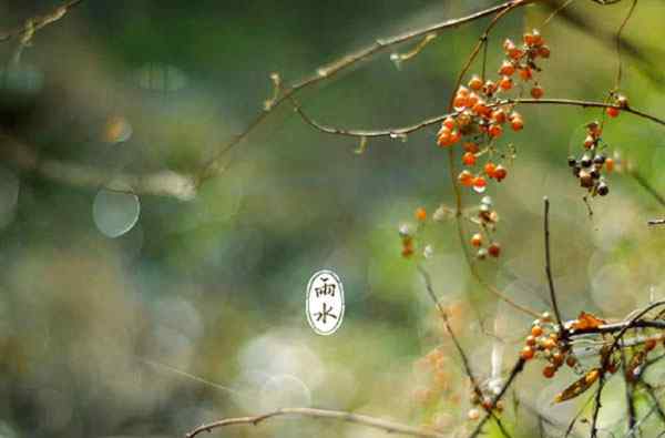 雨水節(jié)氣的植物 雨水節(jié)氣有什么動(dòng)物