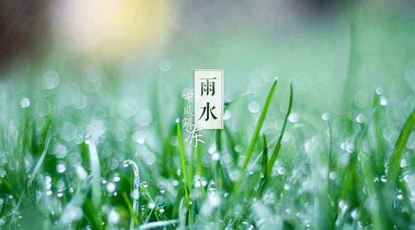 雨水節(jié)氣有什么講究 雨水節(jié)氣要注意什么