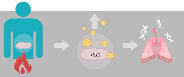 生酮減肥對(duì)身體有什么影響 生酮減肥對(duì)身體有危害嗎