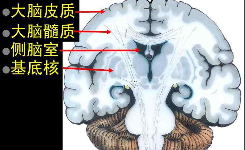 植物人真有被喚醒的可能嗎?