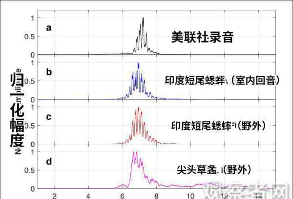 聲波攻擊美外交官：疑遭聲波裝置攻擊