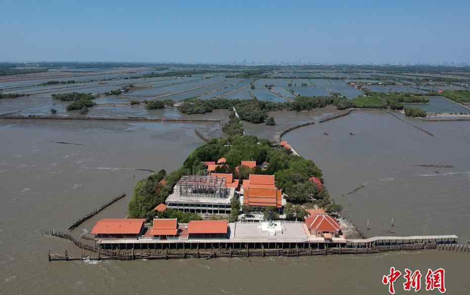 泰國“漂浮寺廟” 海平面上升寺廟成孤島