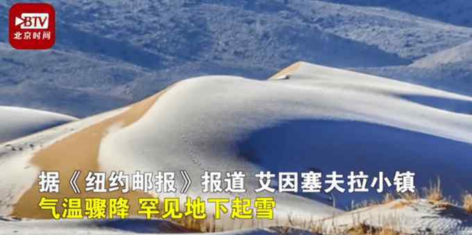 駱駝在沙漠雪中漫步