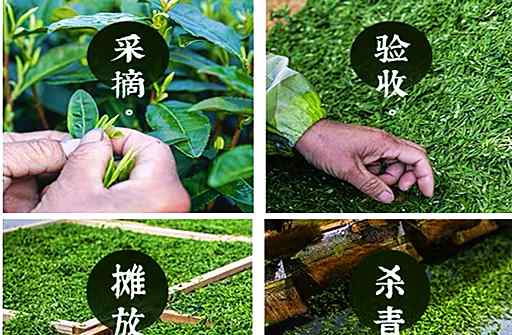 茶葉品牌推廣 盧新龍井茶+豐子愷：傳統(tǒng)茶葉品牌化 玩轉(zhuǎn)跨界營銷