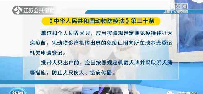 遛狗不牽繩？違法！即將正式施行 具體是什么情況？