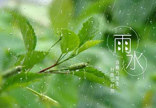 谷雨的來歷和風(fēng)俗 谷雨的含義和諺語