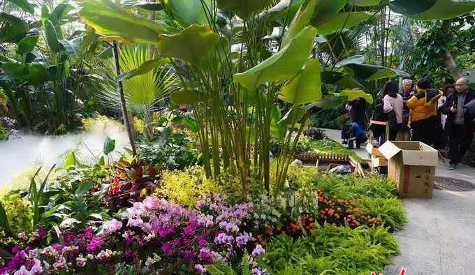 北京香山植物園 即刻起，香山和植物園景區(qū)恢復開放