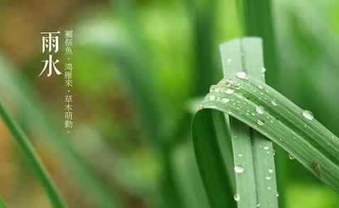 谷雨是幾月幾號(hào)2021年 2021年谷雨是好日子嗎