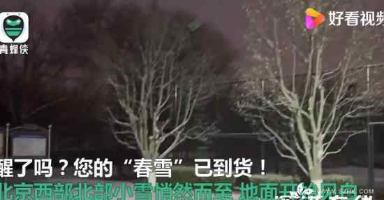 北京西部北部小雪悄然而至 第一場“春雪”來啦