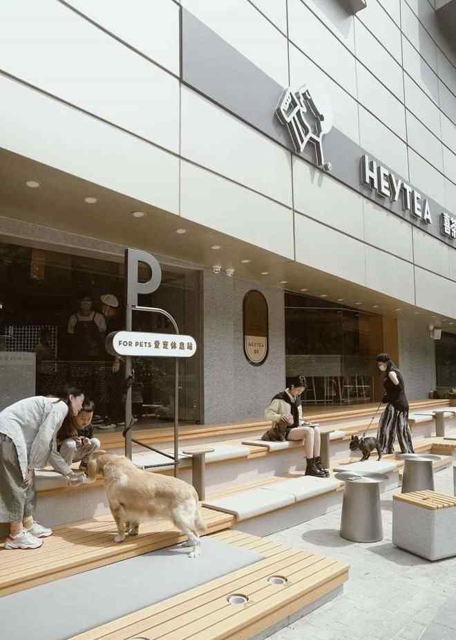 深圳寵物店 喜茶首家“寵物店”在深圳開業(yè)，門店也能社交化