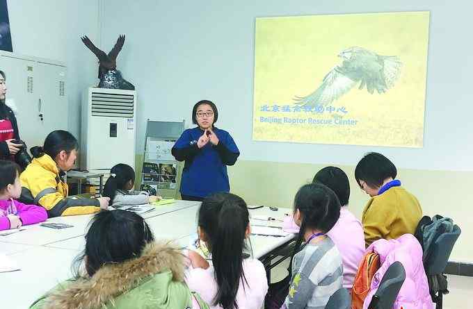 鳳頭蜂鷹 走近神秘猛禽守護者：“鳥大夫”全國僅十幾位 為何必須力氣大？