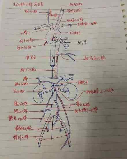 我長大了想當(dāng)一名醫(yī)生 當(dāng)孩子說：“我長大了也想當(dāng)一名醫(yī)生”，告訴他這4點(diǎn)，真的很重要！