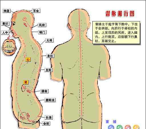 蝦是寒性的嗎 蝦到底是熱性的還是寒性的，孩子能不能多吃？99%的人都搞錯了！