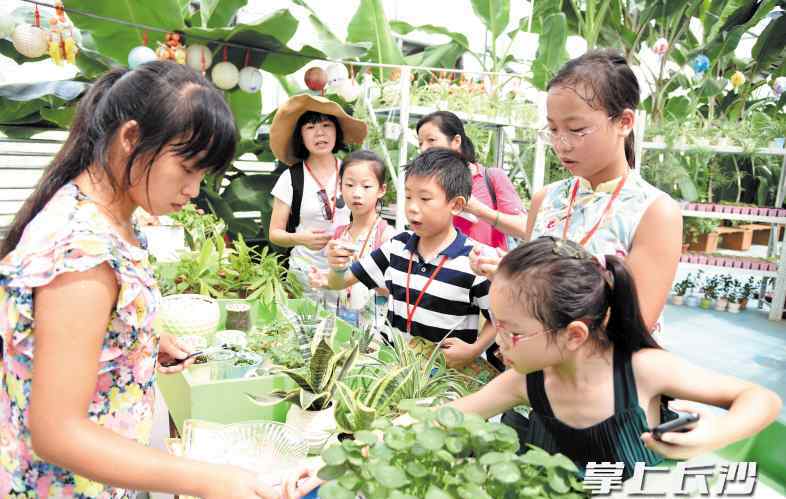 長(zhǎng)沙治失眠王國(guó)陶高效 這個(gè)暑假，名望之城成為歡樂(lè)王國(guó)