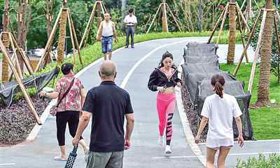 體育公園 社區(qū)體育文化公園 漂亮實(shí)用更人性化今年有20個(gè)類似公園陸續(xù)開放