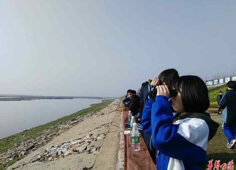 岳陽(yáng)樓旅游 “跟著課本去旅行” 周南學(xué)子“研學(xué)旅行”登上岳陽(yáng)樓