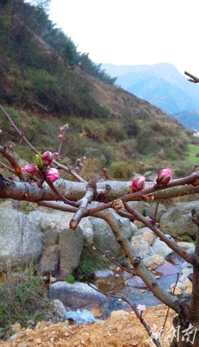 田上人間 新邵縣“長(zhǎng)壽之鄉(xiāng)”清水村如約變身“人間天堂”