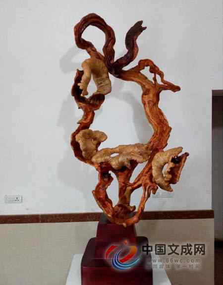 根雕藝術(shù)展 文成縣根雕作品在福建根雕藝術(shù)展喜獲三金一銅