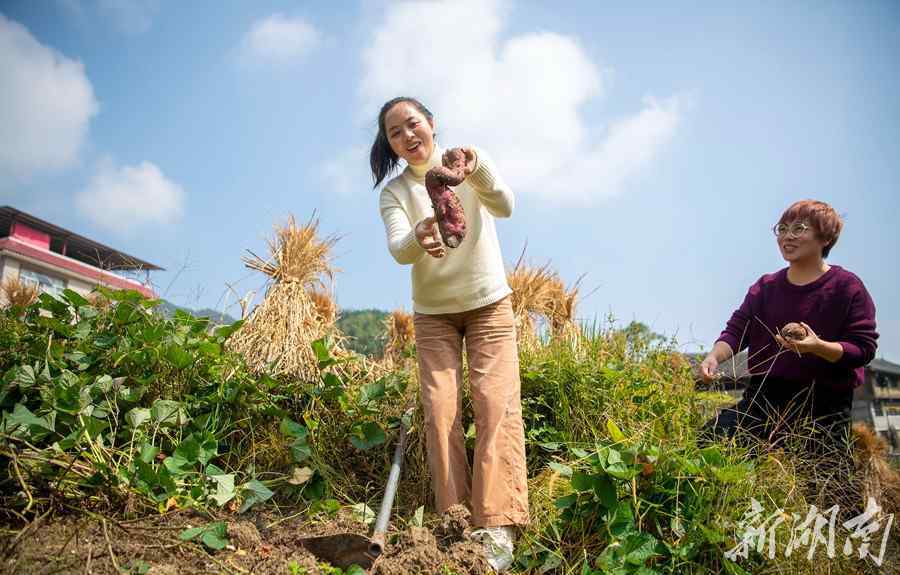 易蓉 女導(dǎo)演辭職扎根鄉(xiāng)村 一年幫農(nóng)民賣(mài)貨500多萬(wàn)元