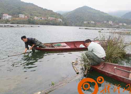 婁底豐滿水庫在哪里 雙峰杏子鋪鎮(zhèn)水庫區(qū)1.8萬口網(wǎng)箱全部拆除