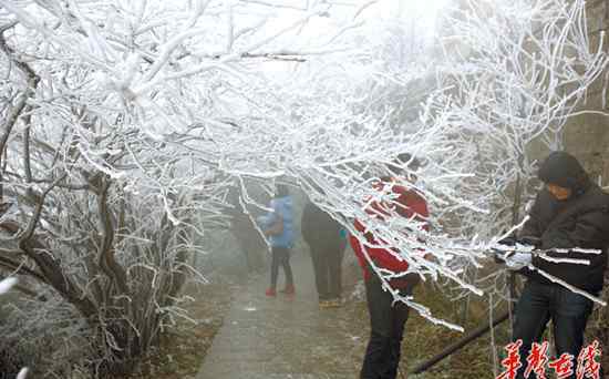 湖南大雪 半個湖南飄大雪 今冬最低溫度將會冷過2008年