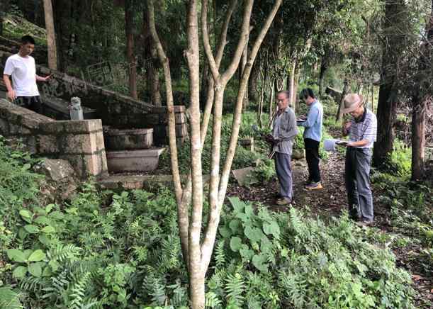 李詠的墳?zāi)箞D片 致敬！溫州七旬老農(nóng)將墳山打造成生態(tài)公園