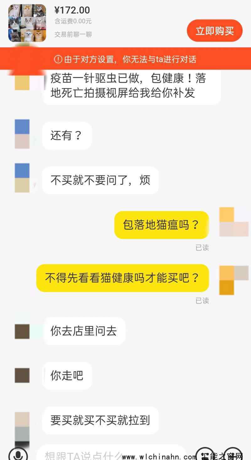 起底活體動物盲盒亂象:售出不退換 究竟發(fā)生了什么