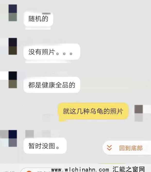 起底活體動物盲盒亂象:售出不退換 究竟發(fā)生了什么