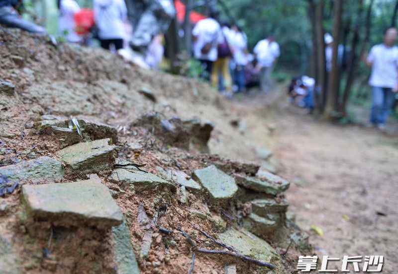 長沙漢王陵 市民探秘漢長沙國王陵遺址 “劇透”遺址公園4年建設(shè)規(guī)劃