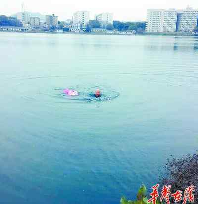 長(zhǎng)沙落水女孩 長(zhǎng)沙7歲女童不慎落水 五旬畫家跳水救人（圖）